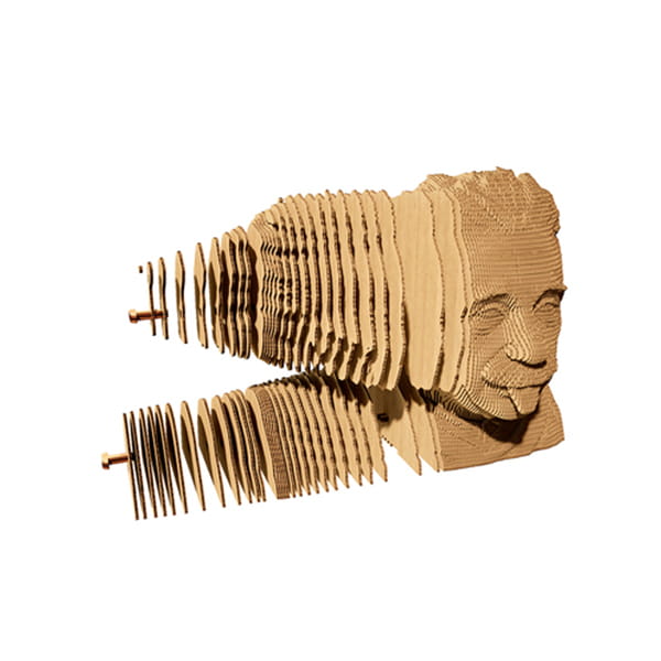 Картонний конструктор Cartonic 3D Puzzle "Albert Einstein"